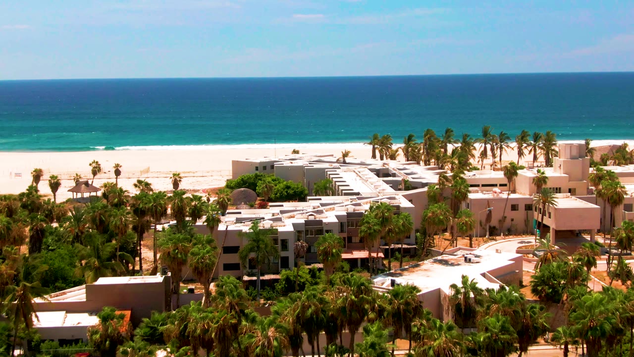 Elevated San Jose Del Cabo view with dense palms around tan and white buildings, a pale beach band, and clear blue ocean behind them, with no visible people.