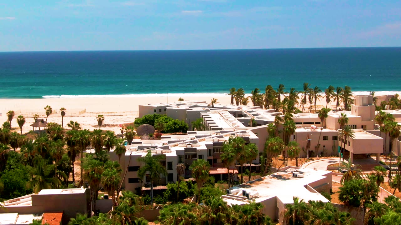 San Jose Del Cabo aerial frame with the ocean taking the upper half, beach in the middle, and palm-covered development with road traffic below, with no visible people.