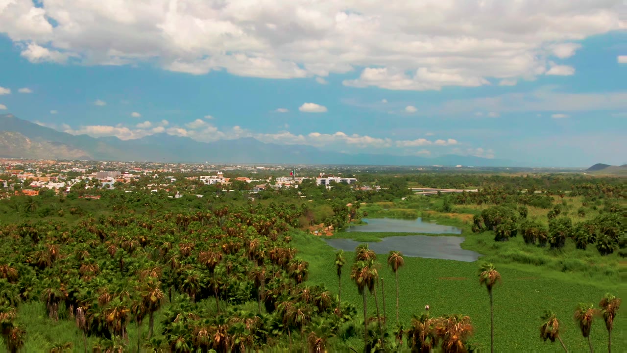 Opening frame of San Jose Del Cabo with palm trees across the foreground, green fields and lake water in the middle distance, mountains on the horizon, and no visible people.