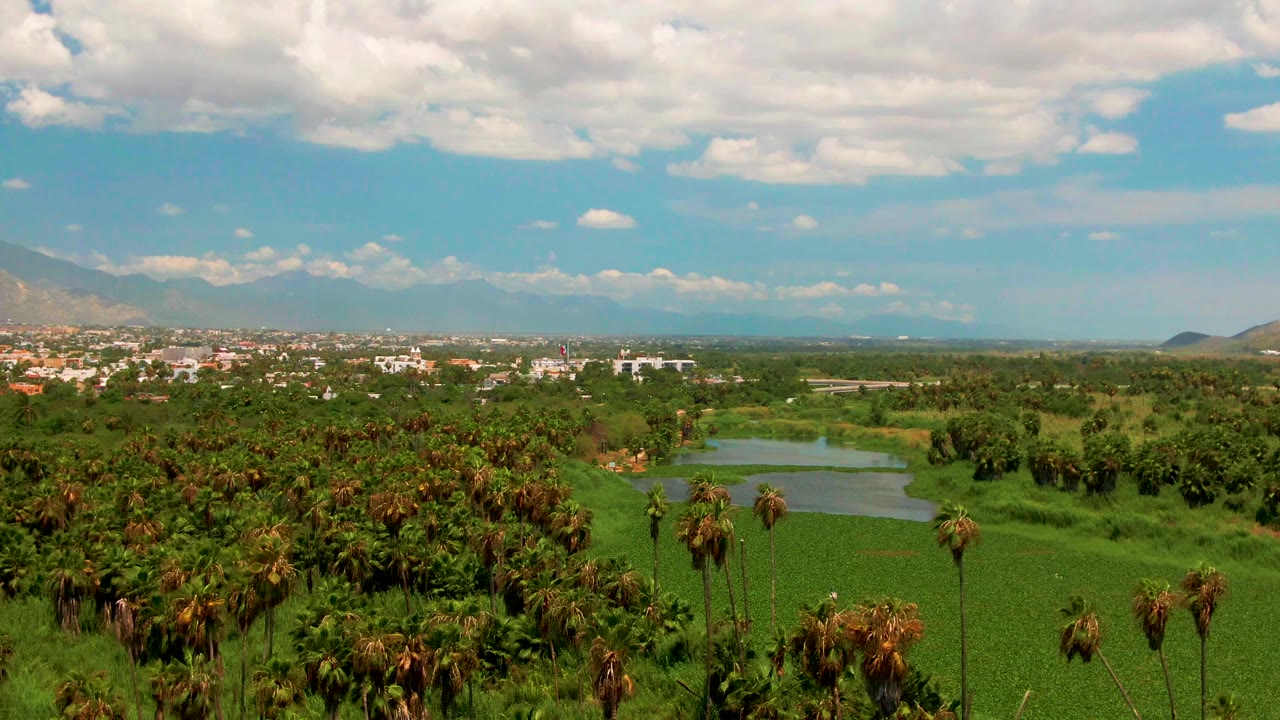 Palm canopy over green valley with lake, town, mountains, and partly cloudy sky.
