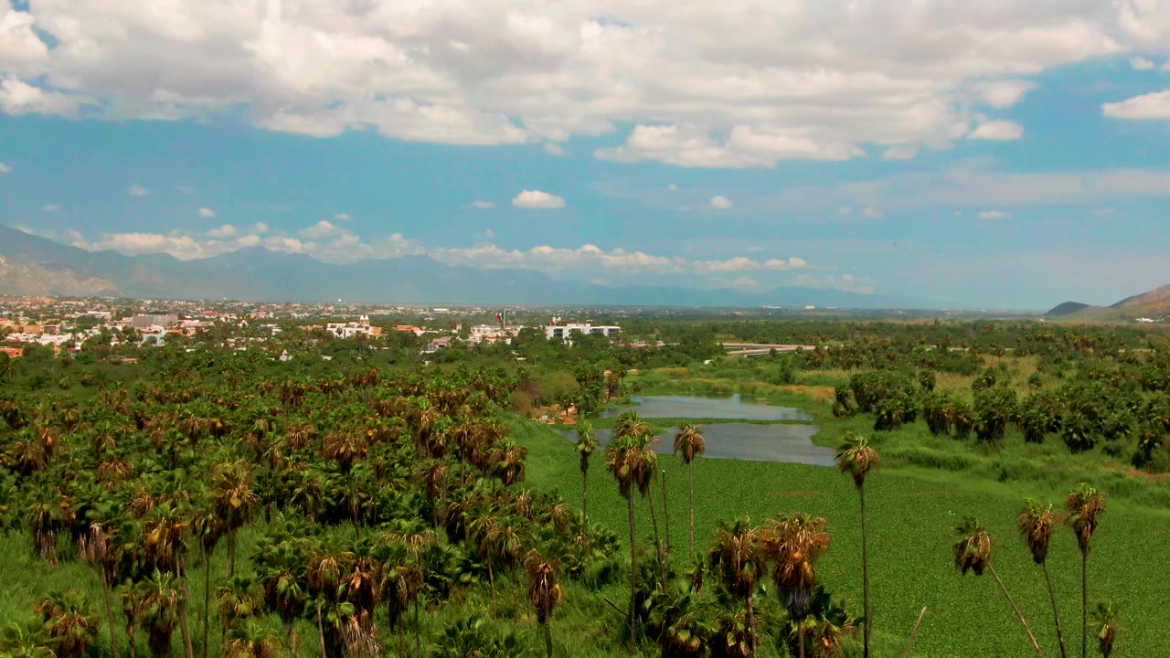 A wide San Jose Del Cabo frame shows palms and dense greenery below, the lake running through the midground, distant buildings near the horizon, and no visible people.