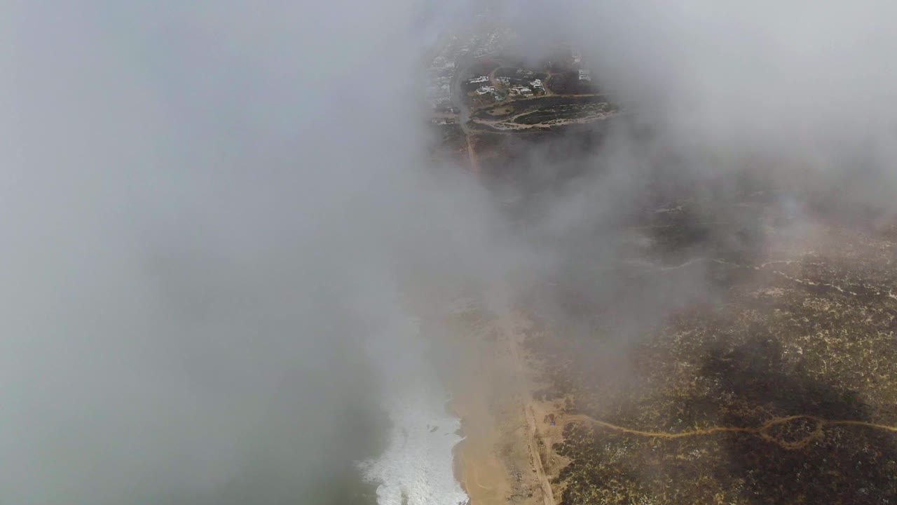 Heavy fog over surf, beach, and scrub-covered coast.