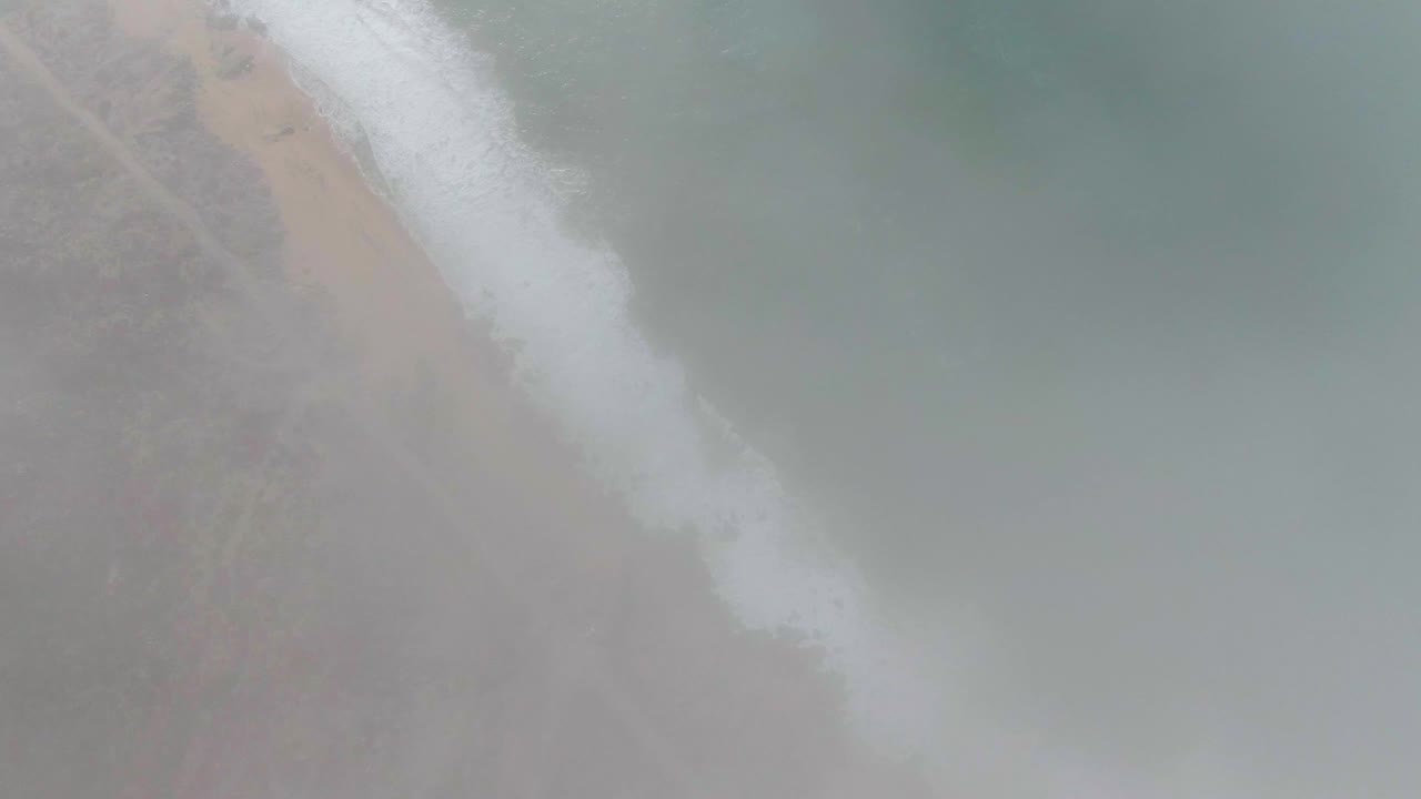 Overhead coastline view with white foam rolling onto sand and scrub inland.