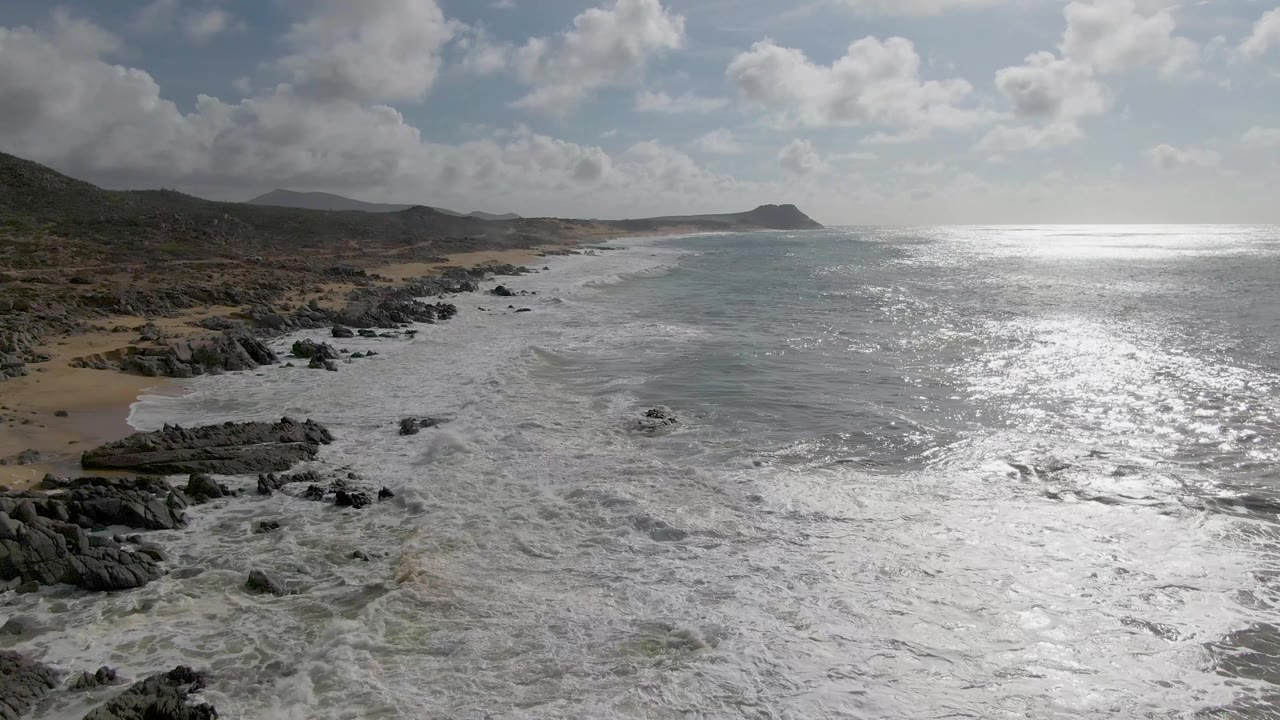 Foamy waves spread around dark rocks along a curving coast