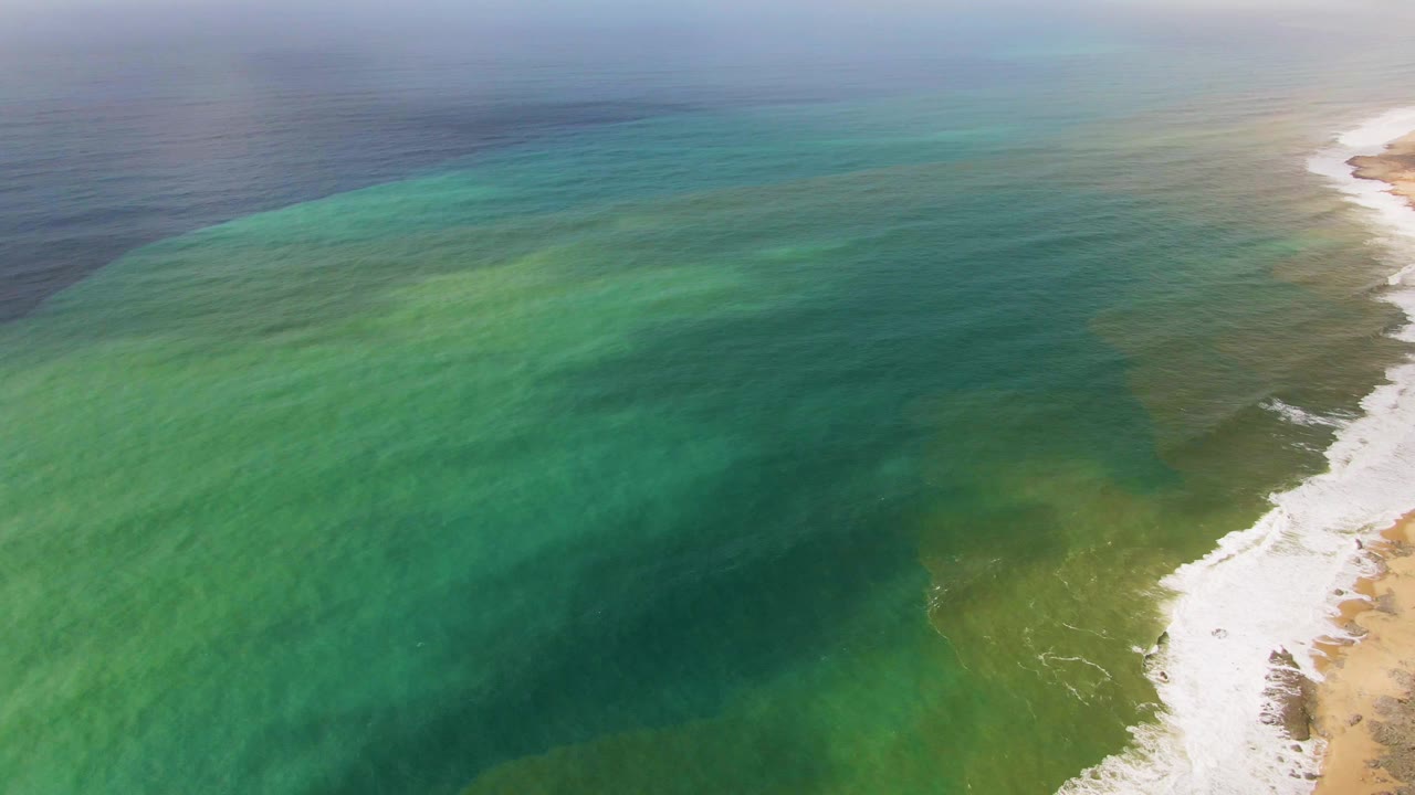 Aerial view in Punta Gorda, Baja California Sur, with green coastal water filling the frame and a white wave line curling along the sandy right shoreline, with no visible people.