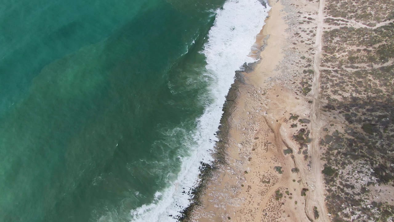 Overhead shoreline with white foam curling onto sand and scrub