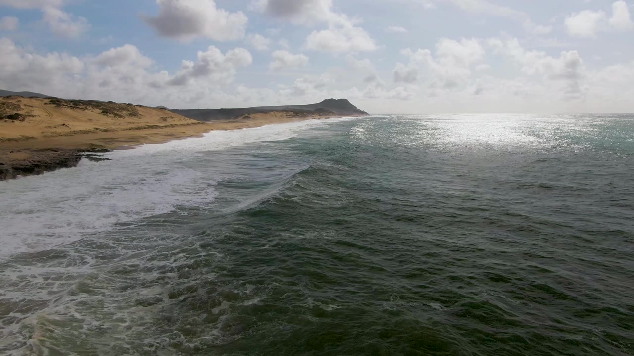 White foam spreads across the shoreline beside dark green ocean water.