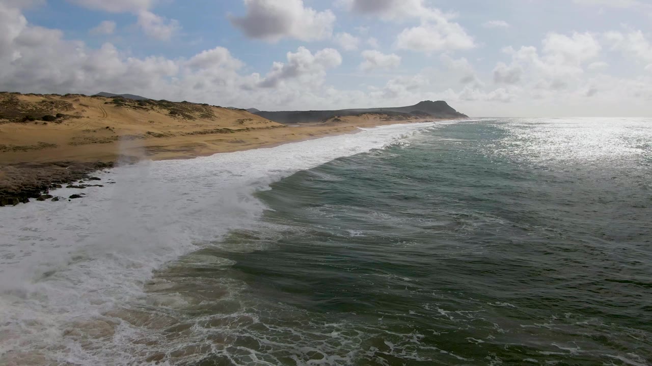 White surf spreads along a sandy beach below coastal dunes.