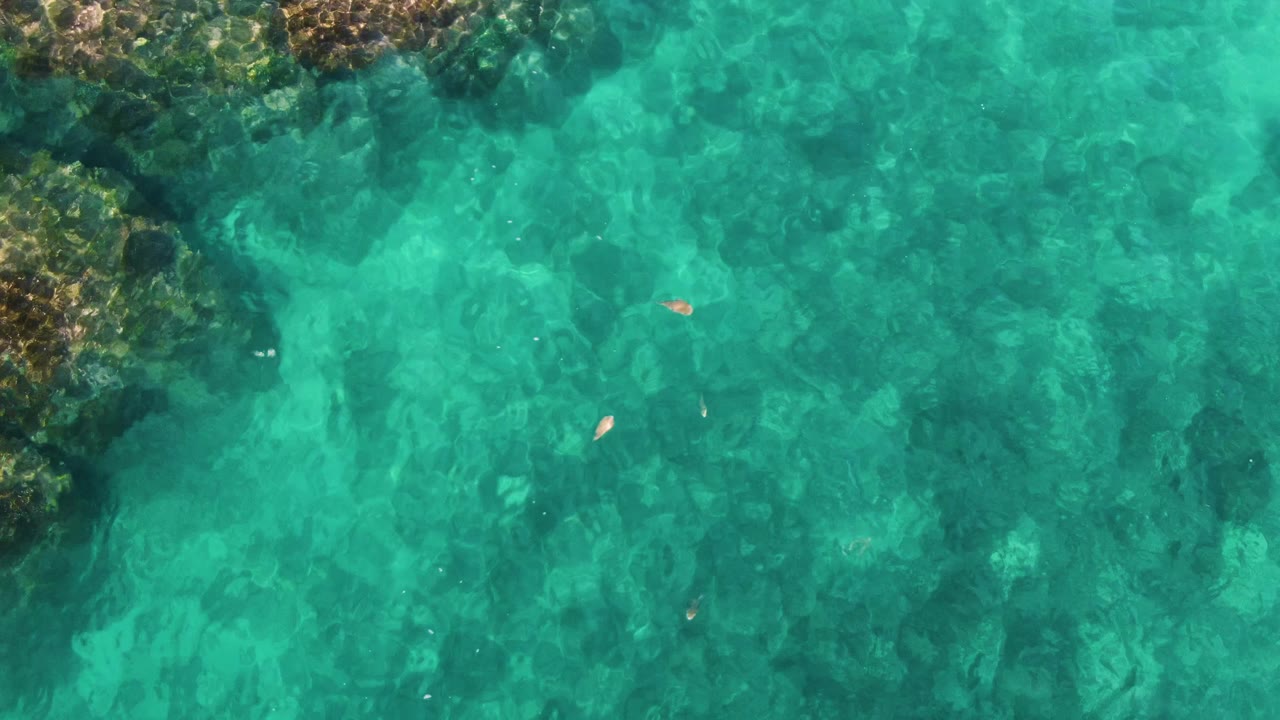 At one second, the El Tule Los Cabos water remains transparent over seabed texture, with rocks along the left edge, small fish farther across the frame, and no visible people.
