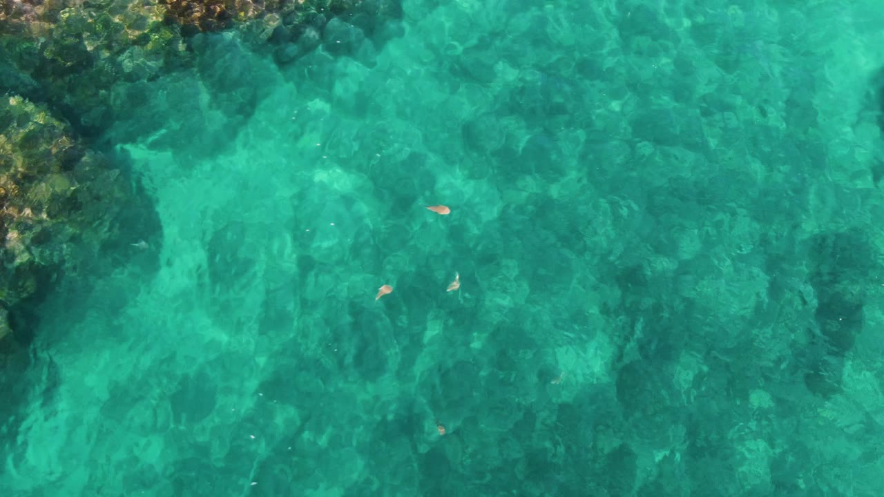 At two seconds, small fish are visible over turquoise shallows at El Tule Los Cabos, with darker submerged rock patches under the water and no visible people.