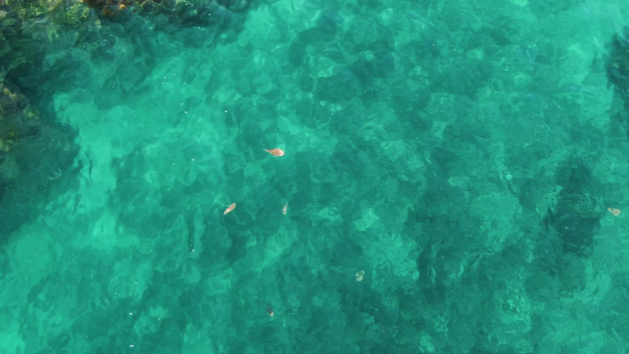 At three seconds, the overhead El Tule Los Cabos view shows small fish in clear blue-green water, with darker rock forms along the left side and no visible people.
