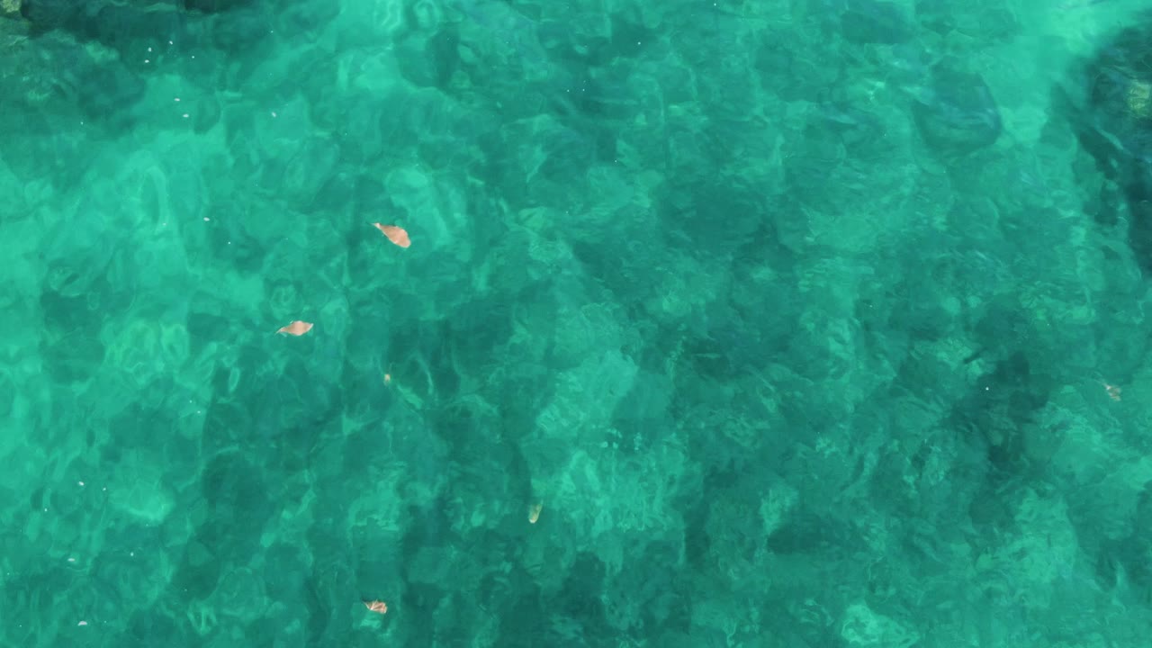 Second frame of the El Tule Los Cabos water surface, showing faint ripples over shallow seabed texture and a few small floating leaves, with no visible people.