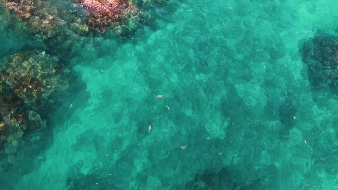 Overhead view of clear turquoise water at El Tule Los Cabos with dark submerged rocks along the upper left and a few small fish visible, no visible people.