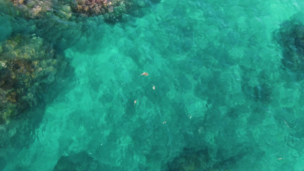 Clear shallow water at El Tule Los Cabos shows a large dark rock and coral patch on the left with pale fish over the sandy seabed, no visible people.