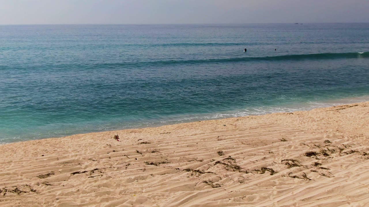 Open sand beach with gentle ocean waves and small swimmers offshore.