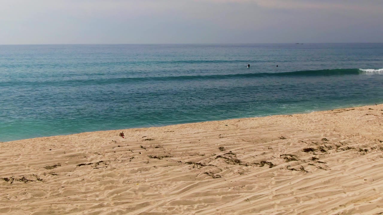 El Tule Los Cabos beach seen from above the sand, with turquoise water, a thin breaking wave at right, and tiny swimmers spaced across the ocean.