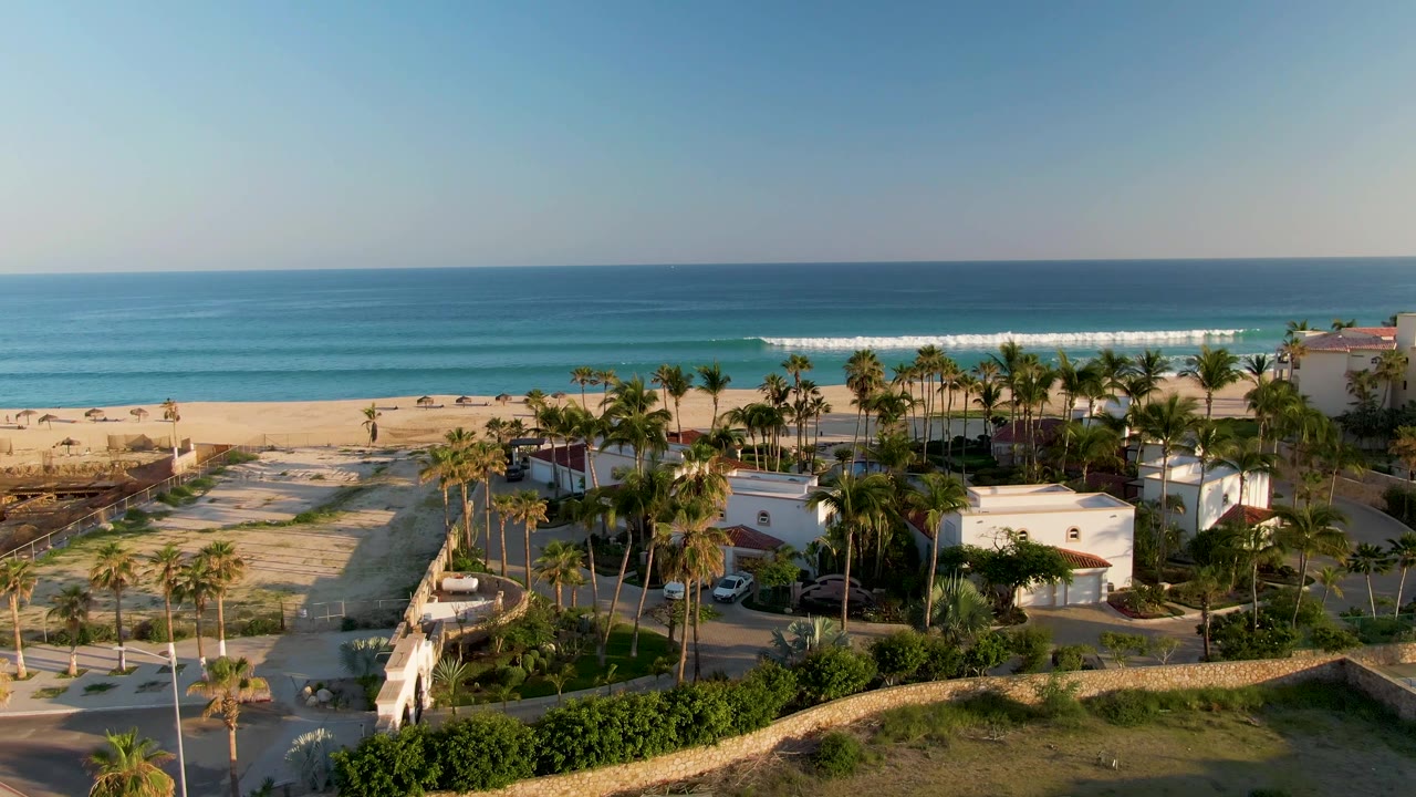 Aerial frame over San Jose Del Cabo coastal residences with palm trees in the foreground, a sandy beach and blue ocean behind them, and no visible people.