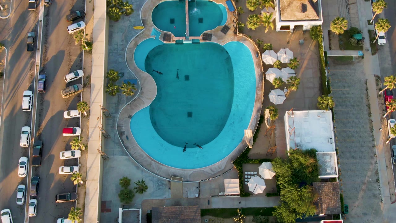 Overhead frame in San Jose del Cabo showing a turquoise kidney-shaped swimming pool bordered by concrete, parked cars, palms, and white umbrellas, with tiny swimmers visible in the water.