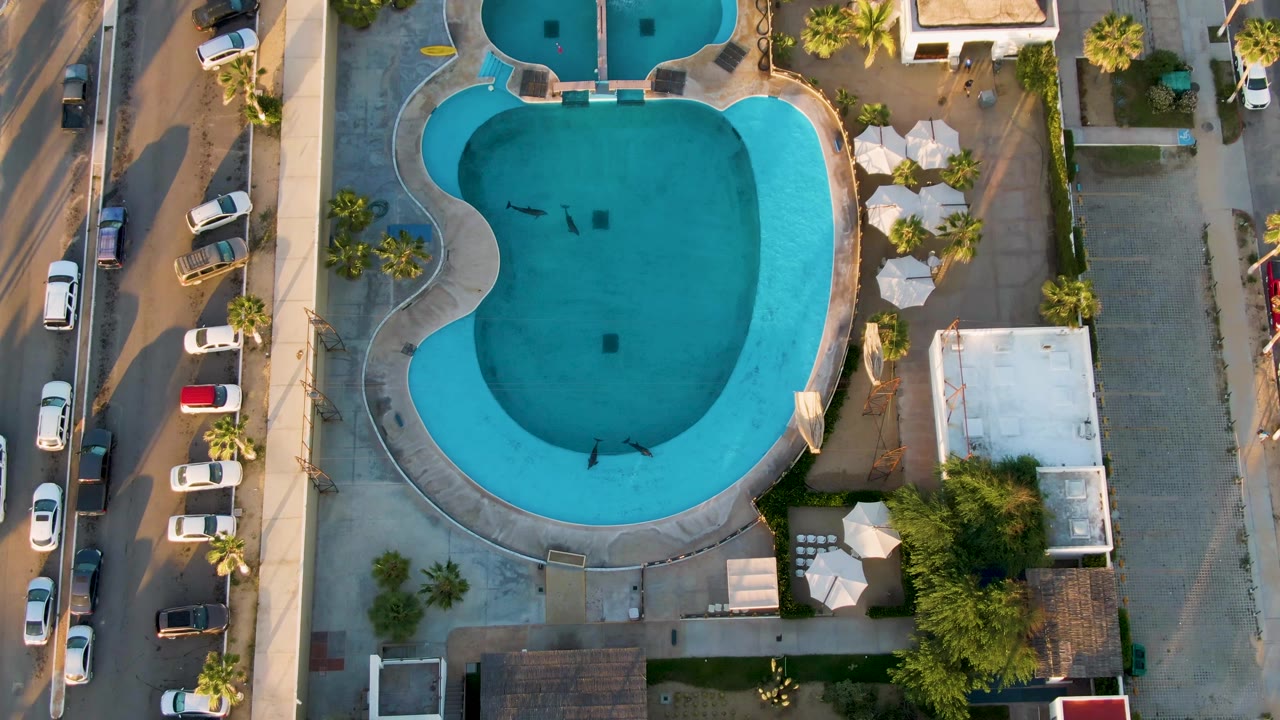 Aerial view over San Jose del Cabo with the kidney-shaped pool centered, swimmers creating small ripples, parked cars lining the street, and umbrellas clustered beside the deck.