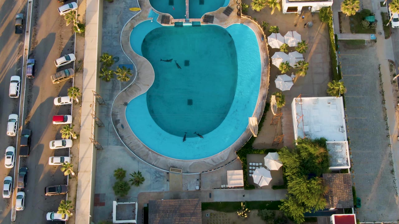 Overhead resort pool with small swimmers, deck umbrellas, parked cars, and palms.