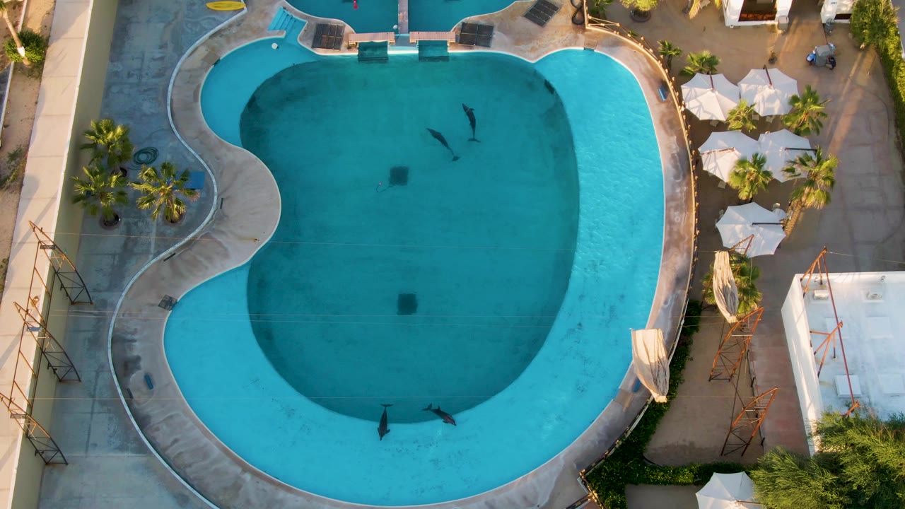 At two seconds, the aerial pool frame shows swimmers closer to the lower portion of the curved blue water, with palm shadows, white umbrellas, and deck furniture around the pool.