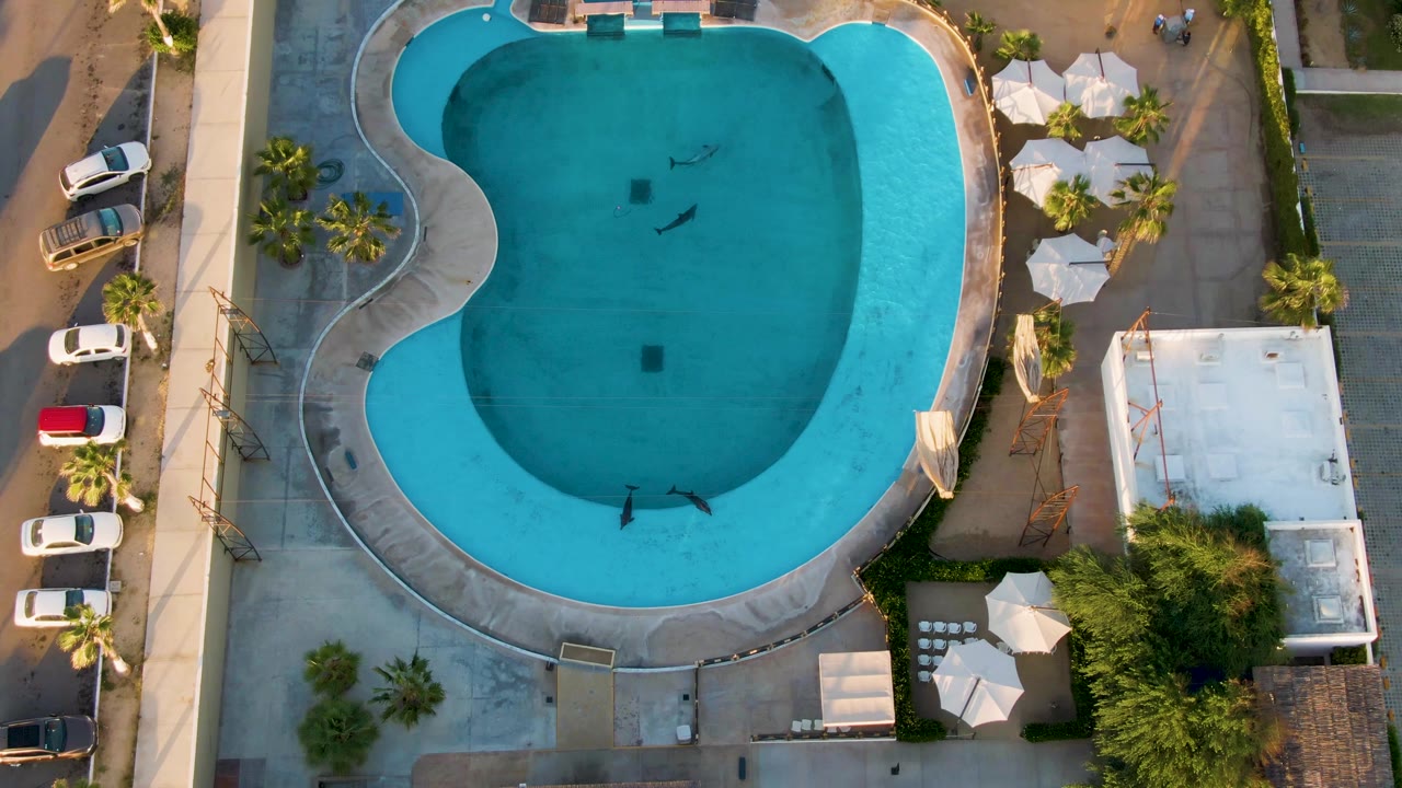 Overhead frame from San Jose del Cabo showing a turquoise hotel pool with several small swimmers, concrete deck, parked cars, palms, and white umbrellas at the edges.