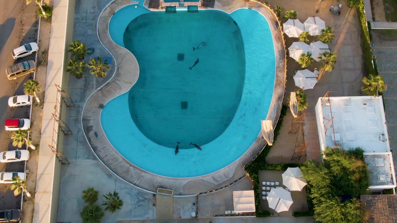 Top-down hotel pool view with swimmers spaced across blue water.