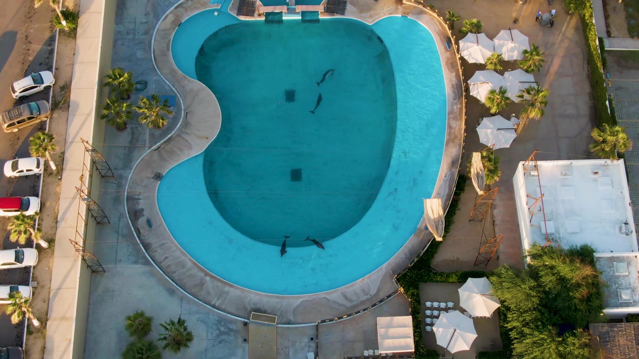 Aerial San Jose del Cabo frame showing the curved hotel pool from above, with swimmers near the center and lower edge, white umbrellas to the right, and parked vehicles to the left.