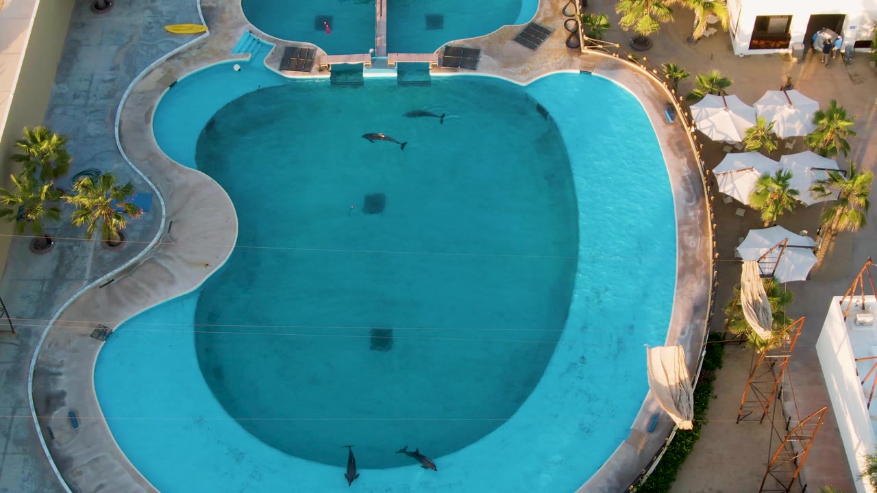 Aerial pool view with swimmers spread across the blue water and umbrellas on the pool deck.