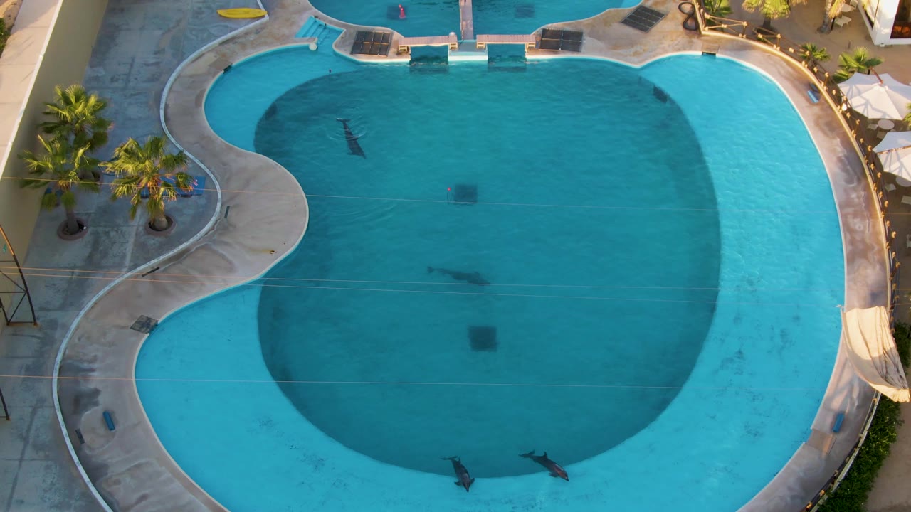 Curved outdoor pool seen from above with swimmers spread across the water.