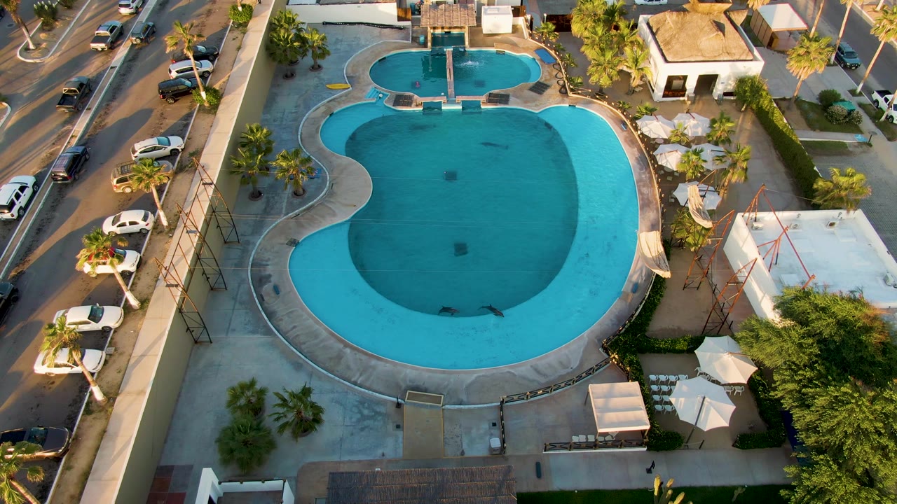 Overhead aerial frame in San Jose del Cabo showing a turquoise swimming pool, adjacent street traffic, palm trees, umbrellas, concrete decking, and no visible people.