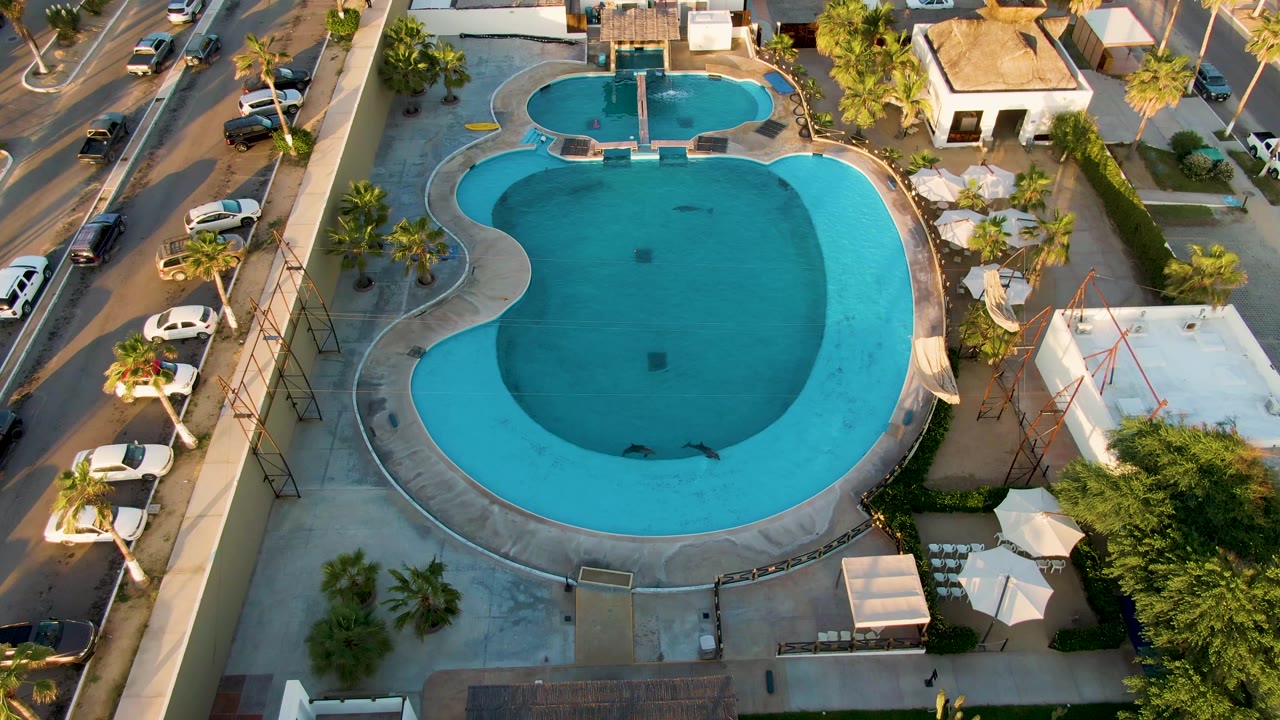Aerial view in San Jose del Cabo with the pool centered, cars along the left street, white umbrellas on the lower right deck, nearby buildings, and no visible people.