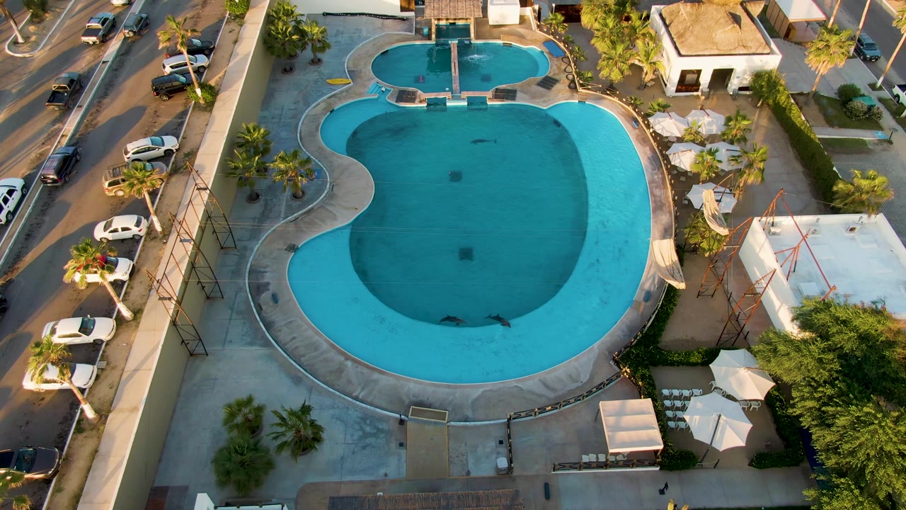 San Jose del Cabo aerial frame showing the turquoise pool from above, a line of cars on the street, palm trees around the deck, rooftops nearby, and no visible people.