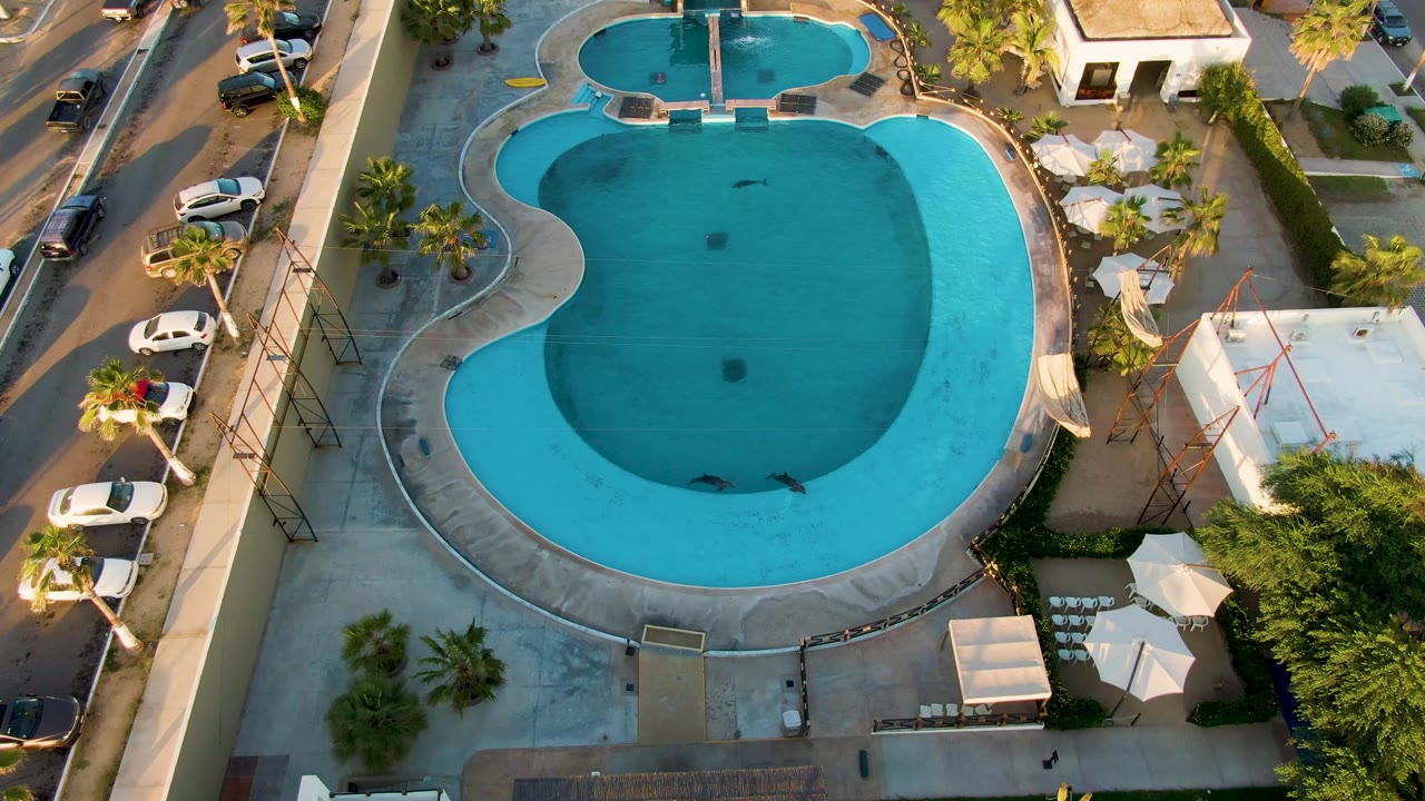 Aerial view of a blue pool, street, parked cars, palms, and umbrellas.