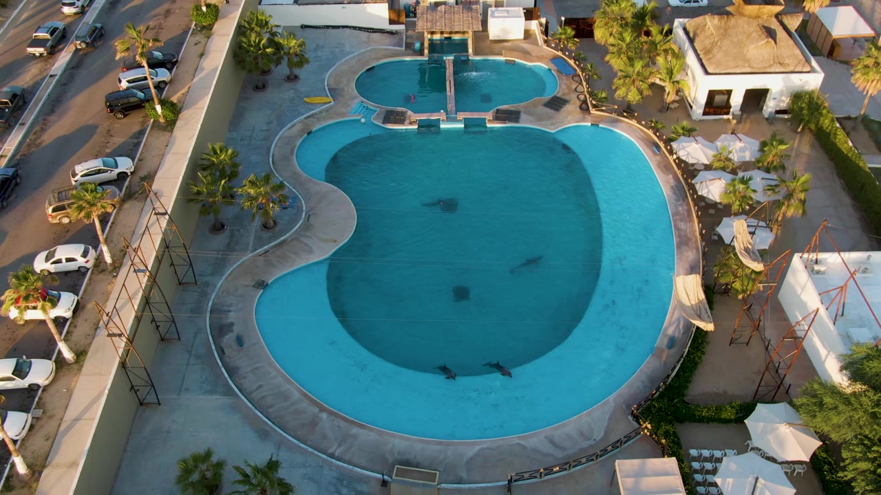 Aerial pool view with swimmers in blue water and cars along the nearby street.