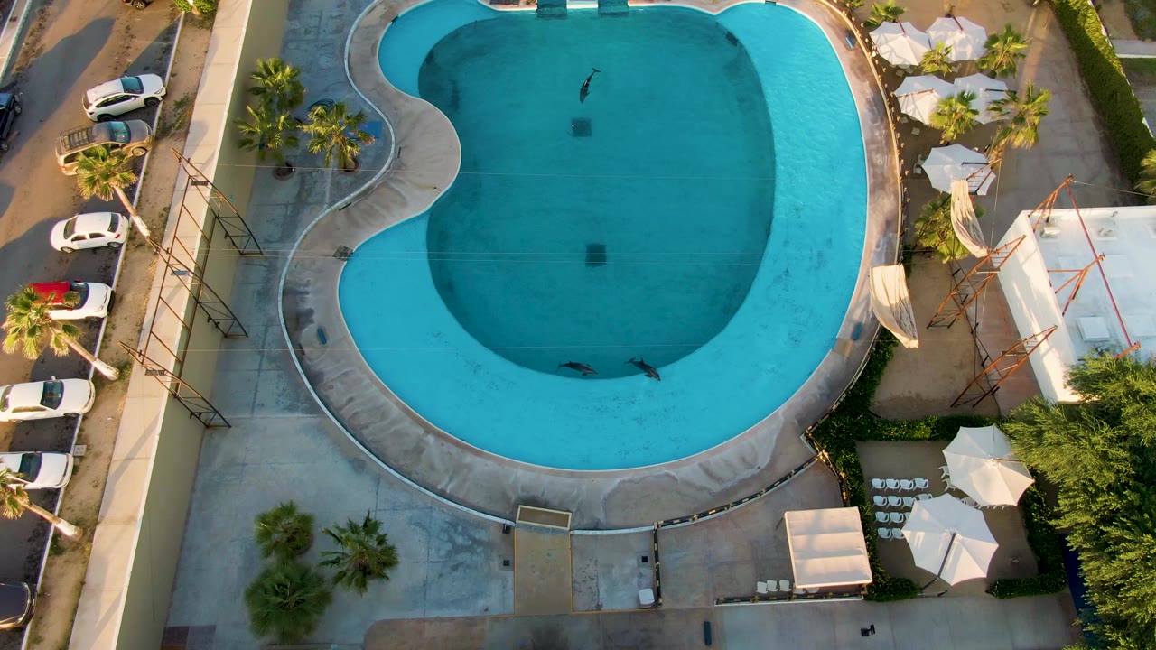 A top-down view in San Jose Del Cabo shows a kidney-shaped blue pool with a small swimmer near the upper water area, curved concrete deck, palms, parked cars, umbrellas, and lounge chairs.