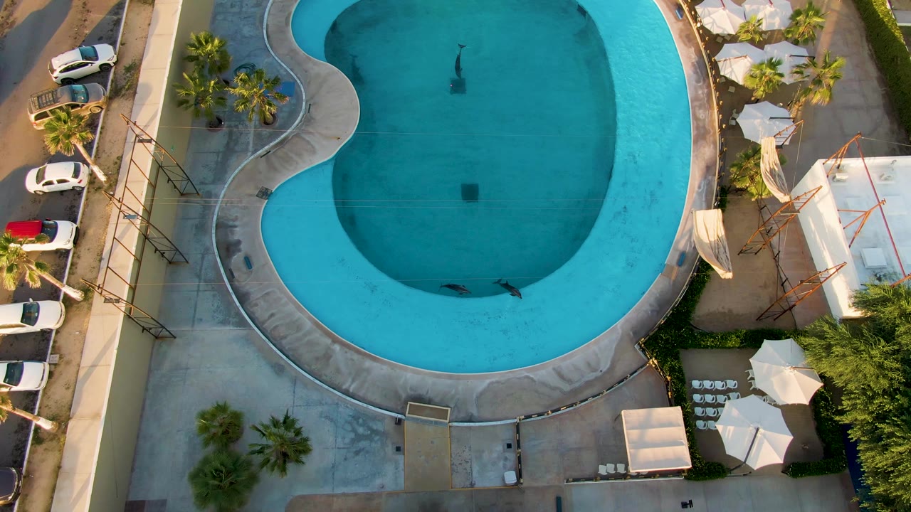 The San Jose Del Cabo aerial frame keeps the kidney-shaped pool centered while the swimmer appears farther down in the water, with white umbrellas and parked cars along the right edge.