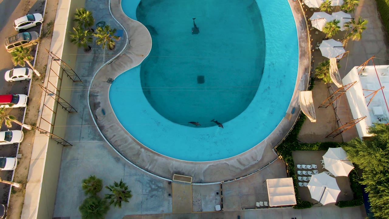 A later overhead frame in San Jose Del Cabo shows the swimmer lower in the blue pool, with the rounded deck, palm clusters, lounge chairs, umbrellas, and parked cars still visible around it.