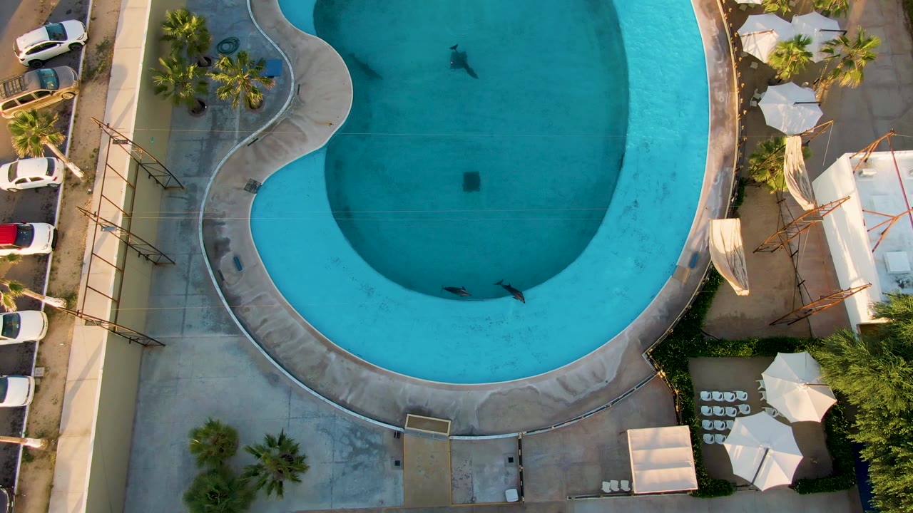 Overhead kidney-shaped pool with swimmer near the lower curve.