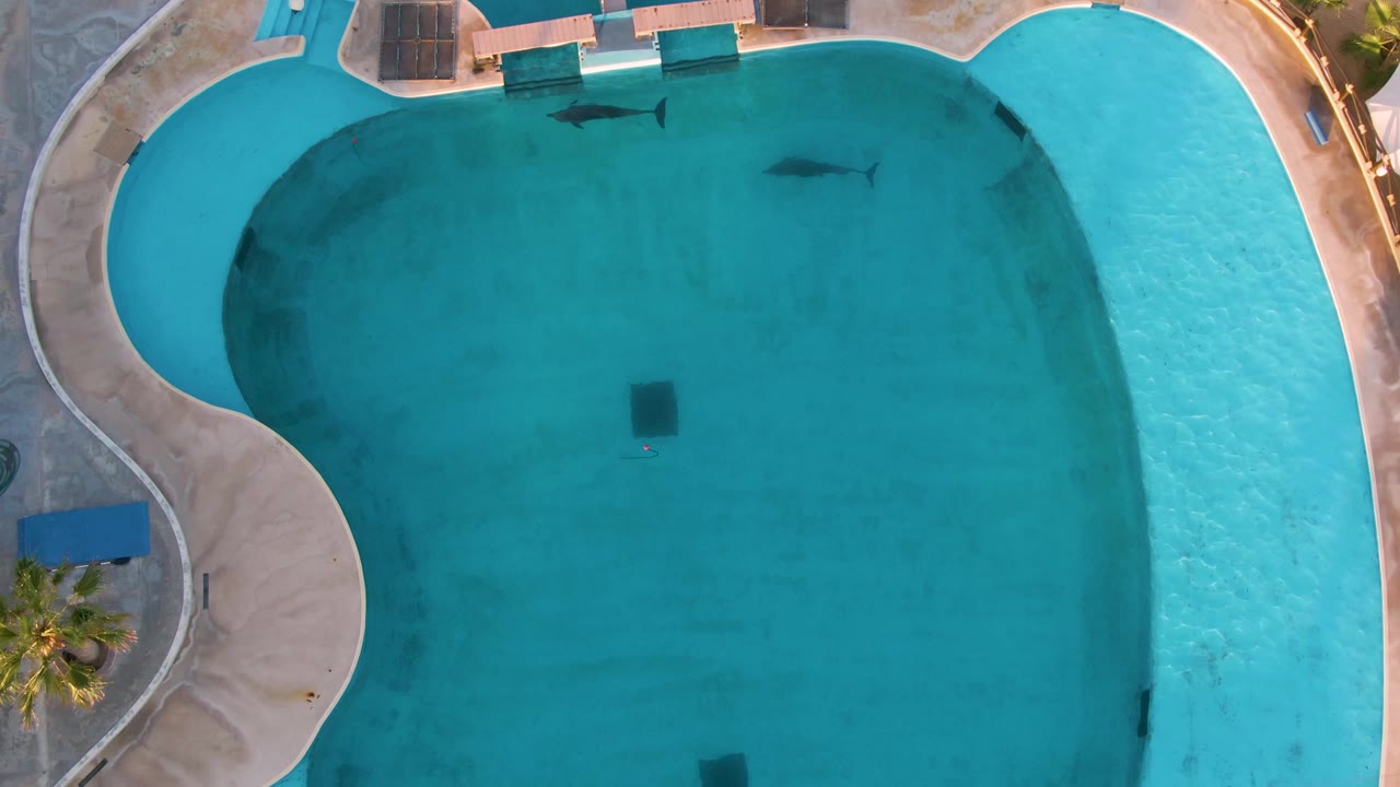 Fish moving across clear pool water below patio chairs