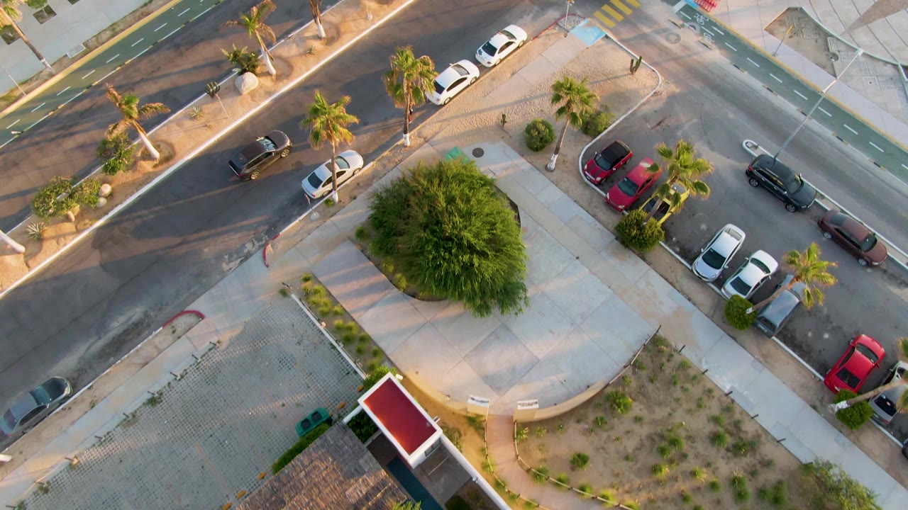 Aerial street scene with parked cars, palm trees, sidewalks, and a bike lane.