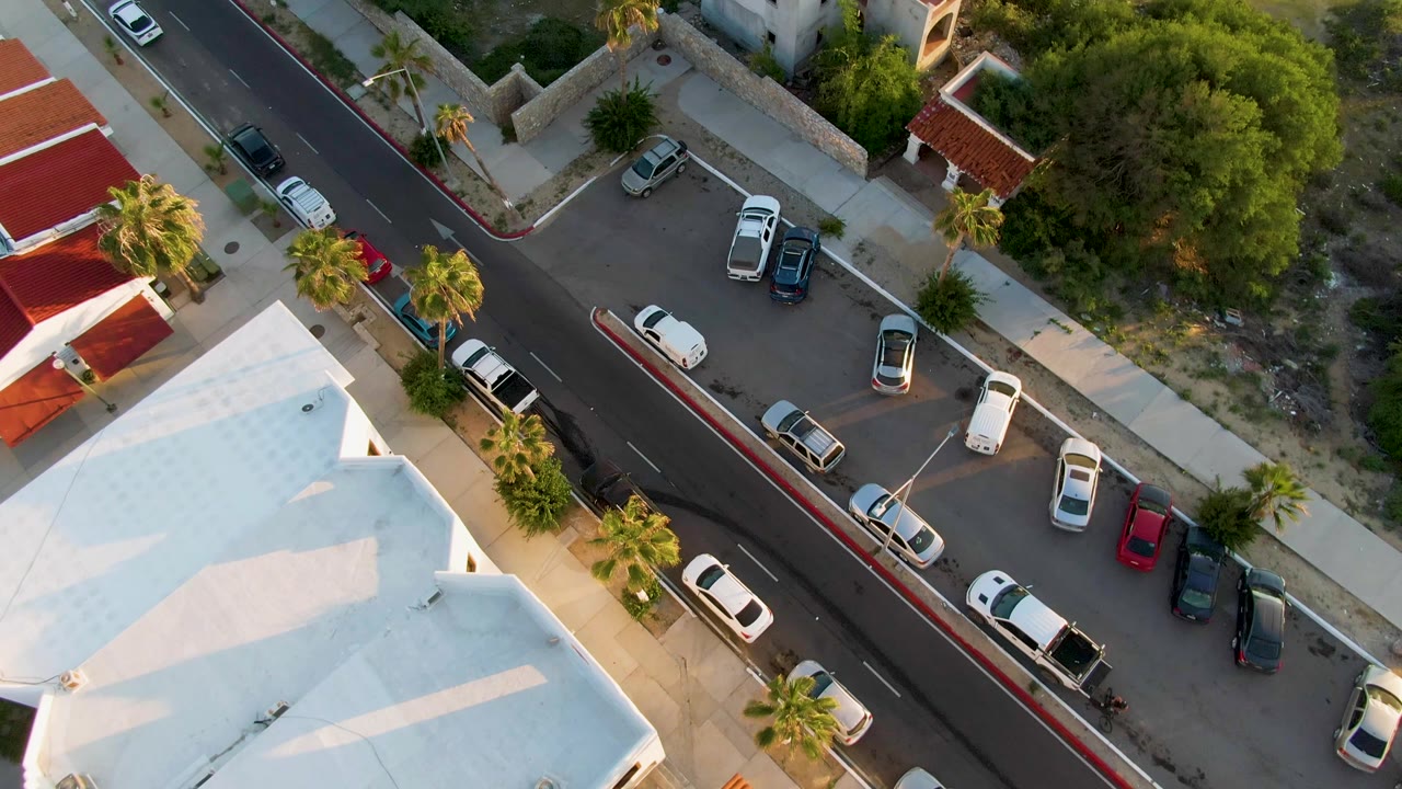Top-down San Jose del Cabo street view with a white-roof building at the lower edge, parked cars on both sides of the road, palm trees, greenery, and no visible people.