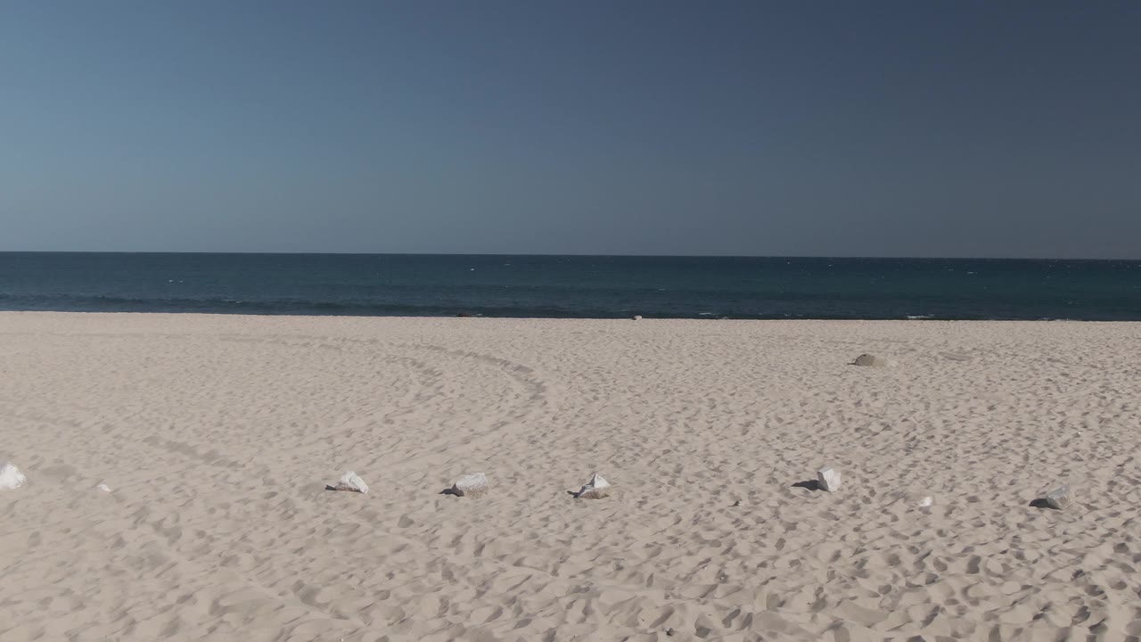 Wide sandy beach with scattered seagulls and ocean horizon.