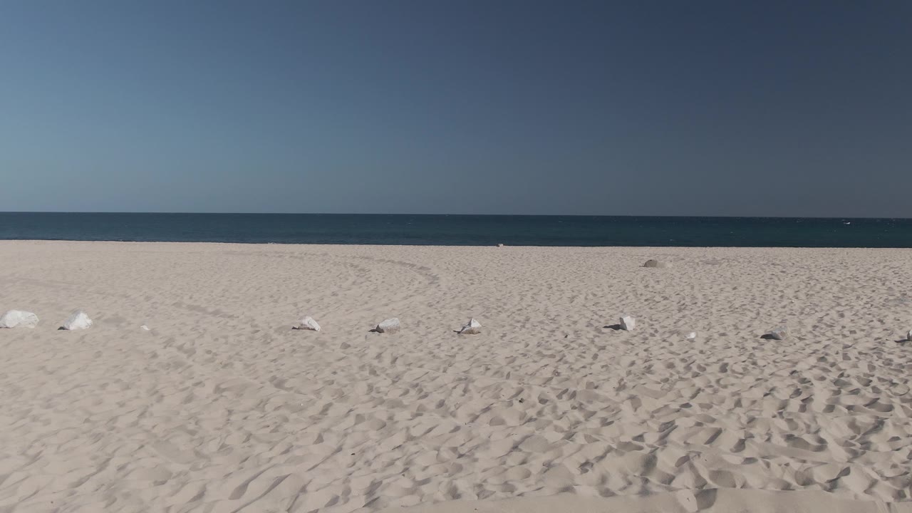 A broad Costa Azul Los Cabos beach view shows footprint-marked sand, small white gulls near the center distance, calm ocean, clear blue sky, and no visible people.