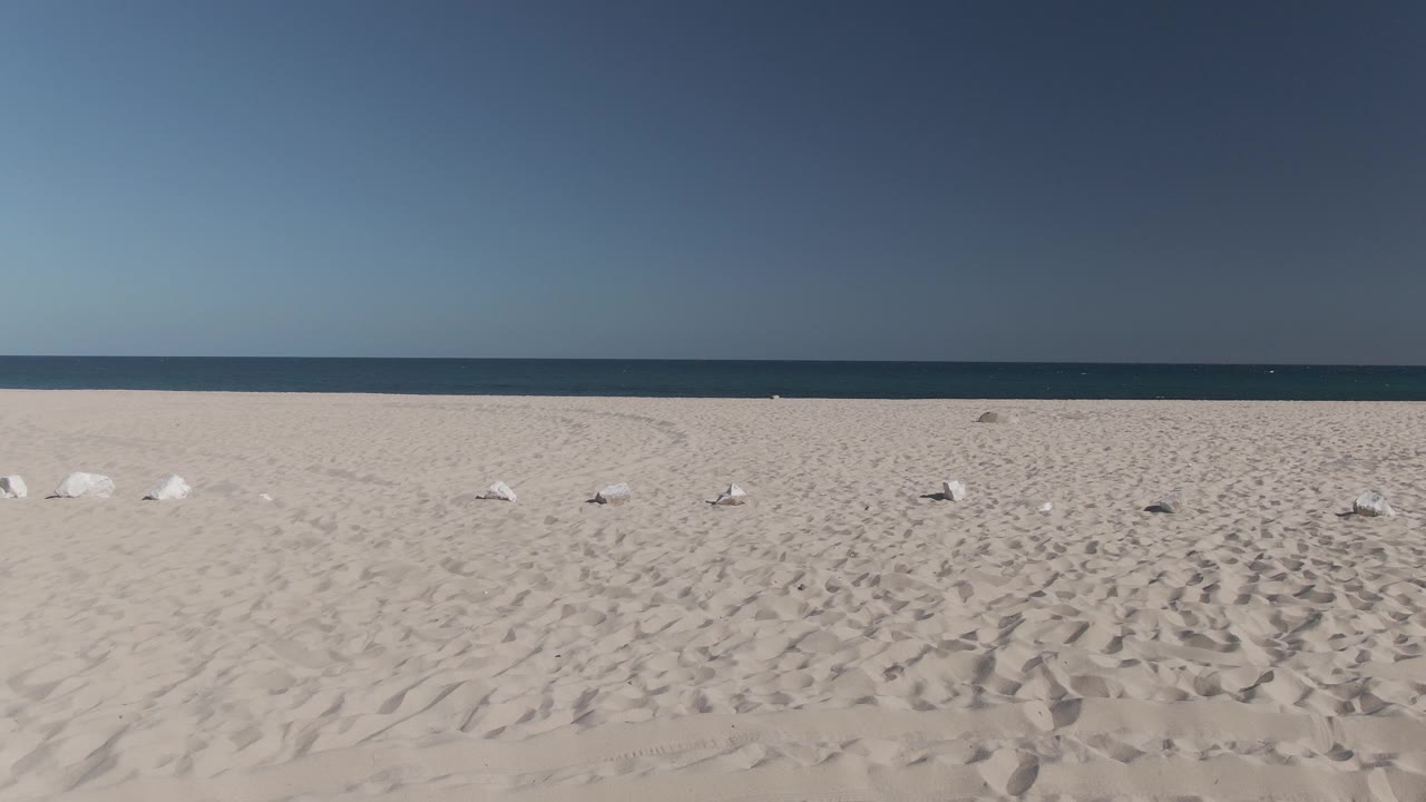 Several white gulls sit or move near the lower edge of the Costa Azul Los Cabos beach frame, with open sand, a straight ocean horizon, and no visible people.