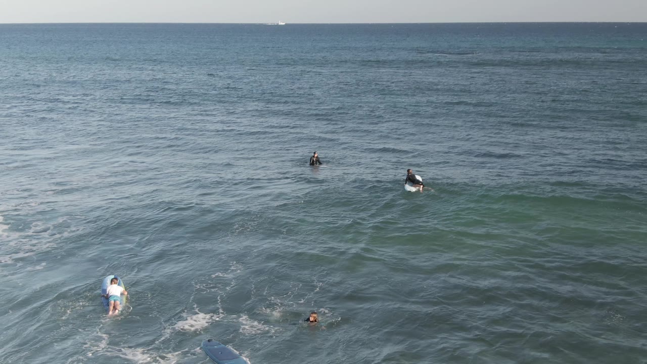 Surfers paddling and sitting on boards in rolling ocean water.