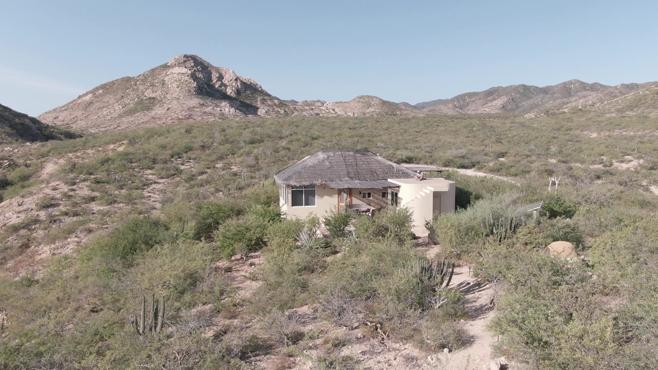Small desert house surrounded by cacti and pale shrubs