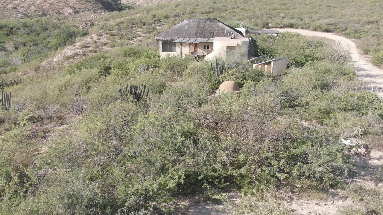 The Cabo Pulmo frame keeps the pale house near the upper left, with green desert shrubs, columnar cacti, a light dirt road, rocky slopes, and no visible people.