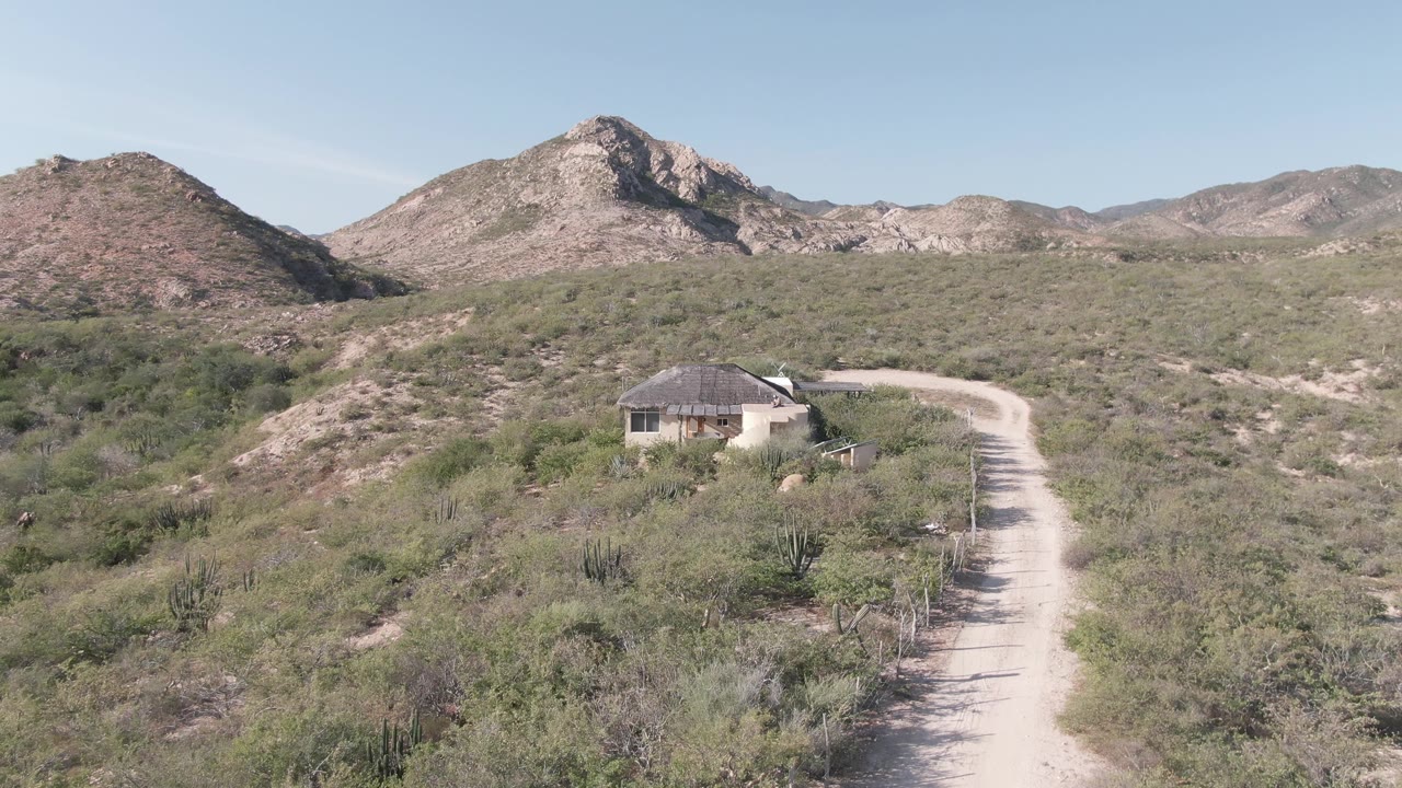 Dirt road through desert shrubs leading toward a small building and rocky mountains.