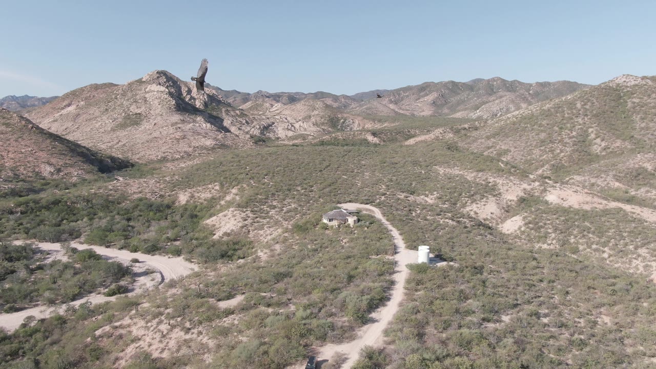 At 0:00, an eagle appears near the upper left of a Cabo Pulmo desert aerial with rocky mountains, scrub-covered hills, dirt roads, a small structure, and no visible people.